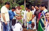 पेड़-पौधे लगाकर रोका जा सकता है पर्यावरण का बिगड़ता संतुलन : राजेश नागर