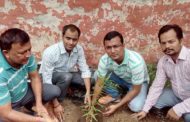 बालाजी चैरिटेबल ट्रस्ट (रजि) द्वारा पौधरोपण कार्यक्रम आयोजित किया गया